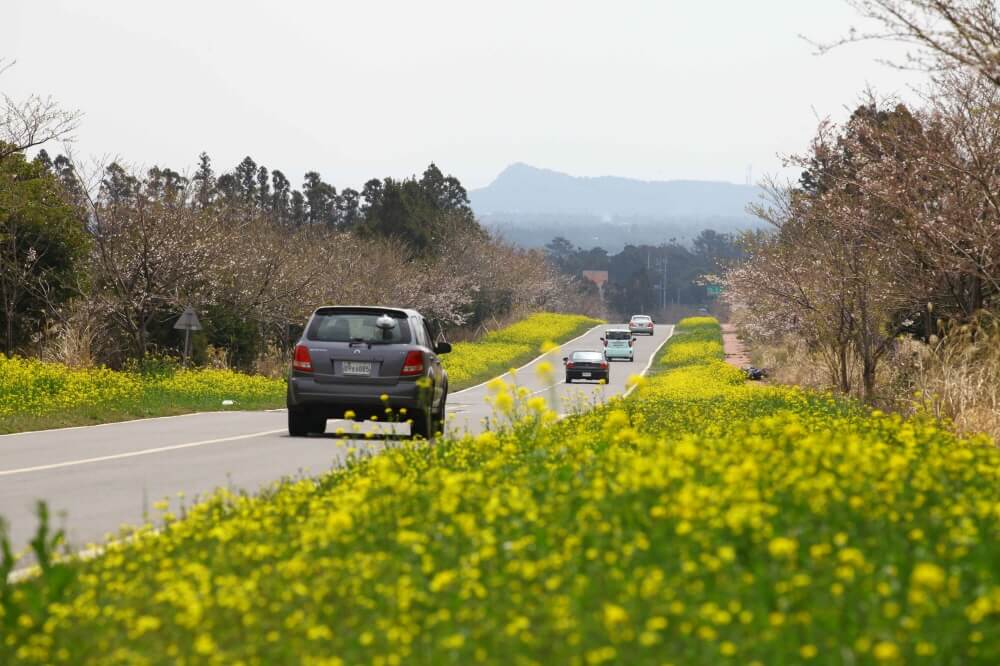 La carretera Jeju es fina