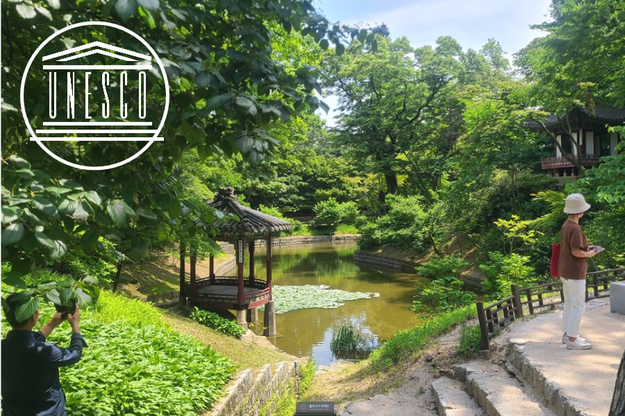 Viaje a Seúl con visita al palacio changdeokgung con jardin de secreto