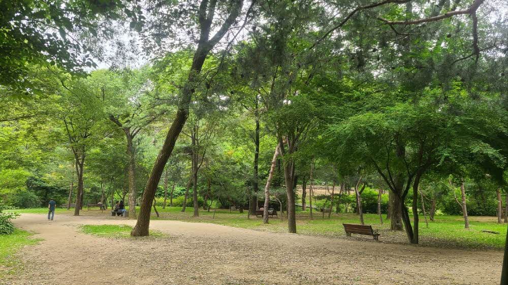 La Unesco Sunreung es un bosque de descanso para oficinistas en Gangnam Seúl